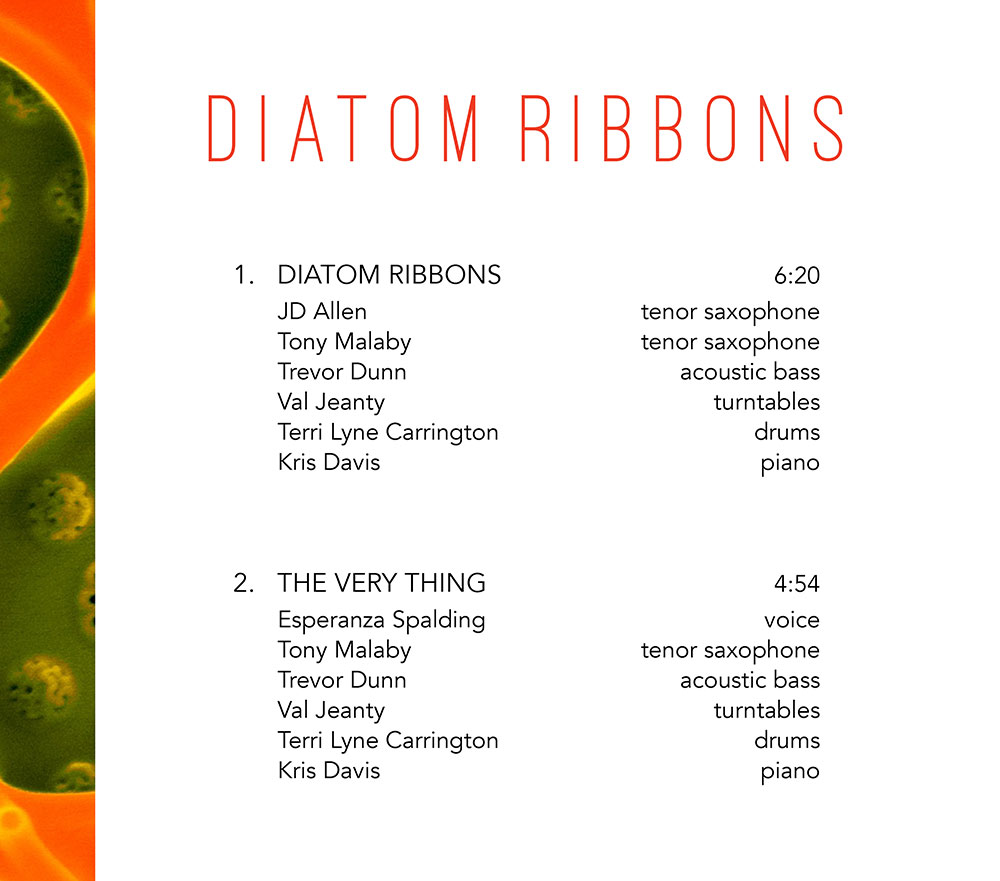 Diatom Ribbons